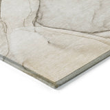 addison chantille acn502 beige rug